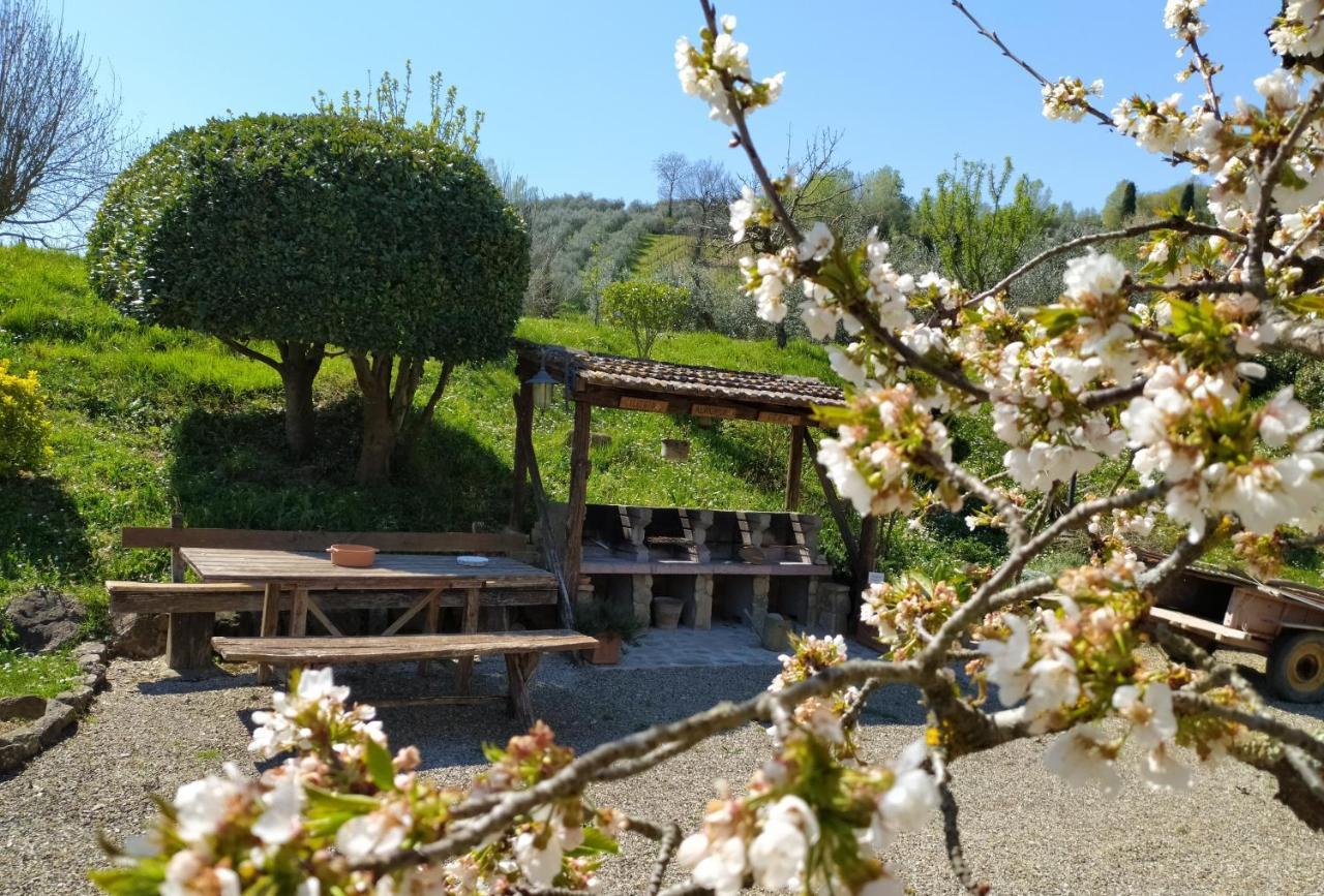Casa Elisa Lägenhet Montaione Exteriör bild