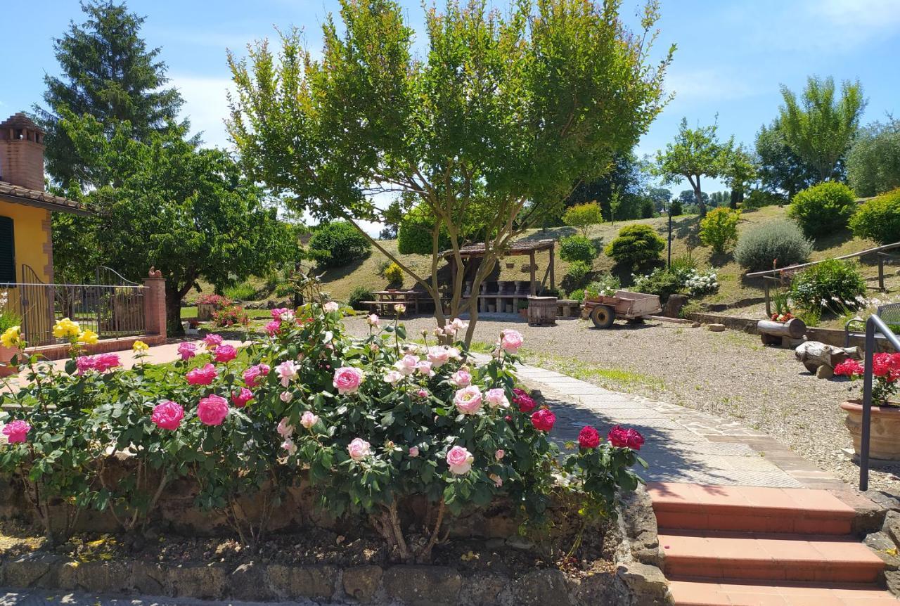 Casa Elisa Lägenhet Montaione Exteriör bild