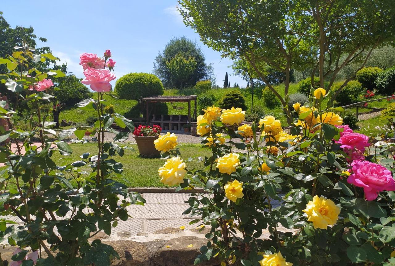 Casa Elisa Lägenhet Montaione Exteriör bild